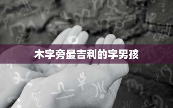 木字旁最吉利的字男孩，虎宝宝男孩取名大全2022款