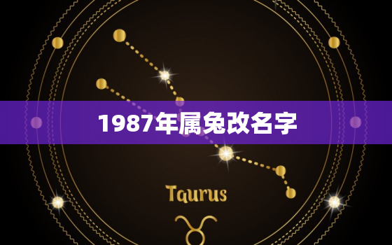 1987年属兔改名字，1987年属兔起个小名