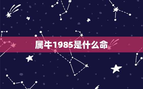 属牛1985是什么命，1985牛生肖是什么命