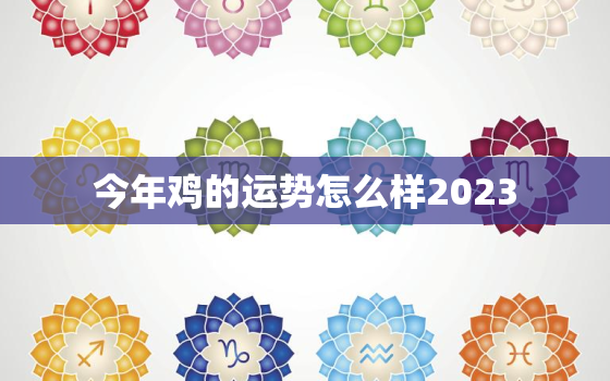 今年鸡的运势怎么样2023，今年鸡的运势怎么样2022