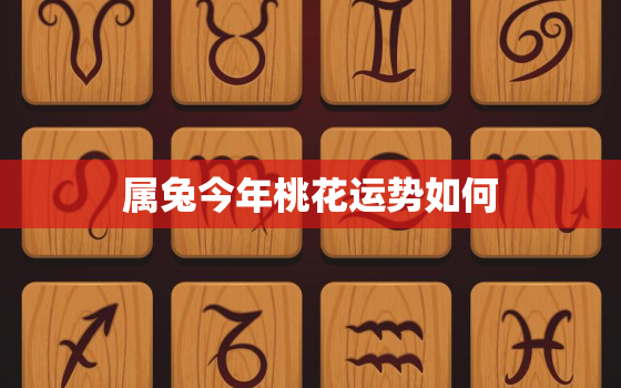 属兔今年桃花运势如何，属兔的今年桃花运怎么样