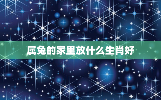 属兔的家里放什么生肖好，属兔的生肖家里应该摆什么好