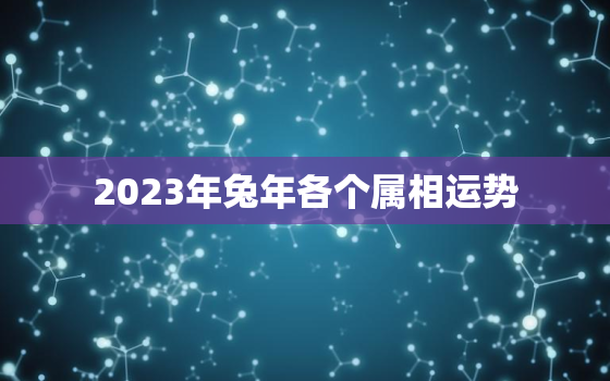 2023年兔年各个属相运势，2023年兔年生肖运势