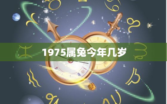 1975属兔今年几岁，1975属兔2021年多少岁