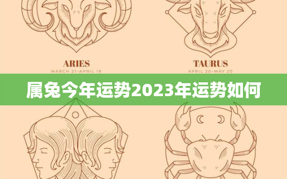 属兔今年运势2023年运势如何，属兔的2023年运势和财运怎么样