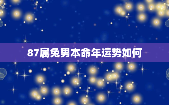 87属兔男本命年运势如何，1987属兔本命年怎么样