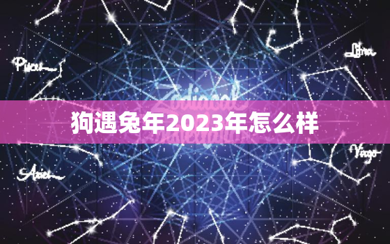 狗遇兔年2023年怎么样，狗遇兔年2023年怎么样运势