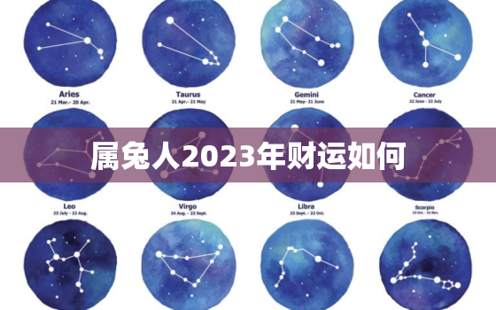 属兔人2023年财运如何，属兔人2023年年运势