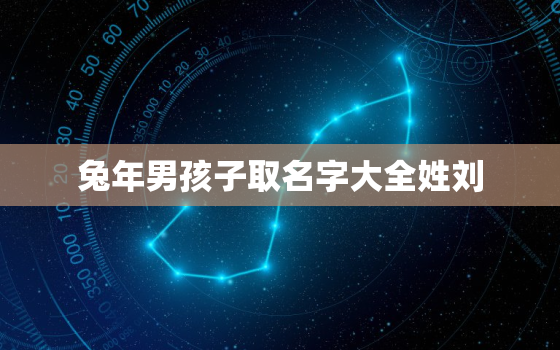 兔年男孩子取名字大全姓刘，姓刘属兔男孩名字五行缺水