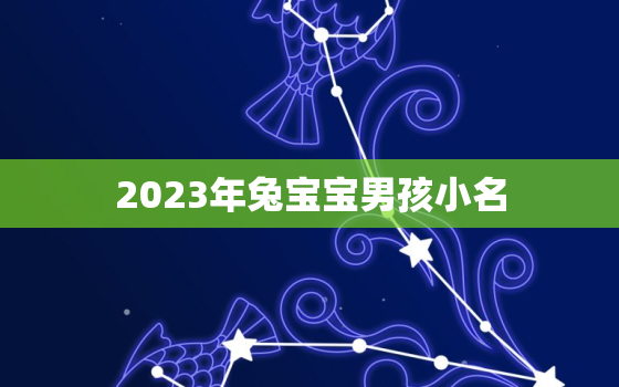 2023年兔宝宝男孩小名，2023年兔宝宝男孩名字