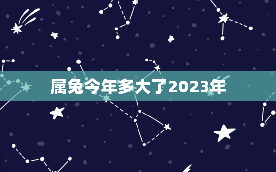 属兔今年多大了2023年，属兔的今年多大2022