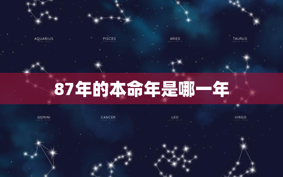 87年的本命年是哪一年，87年兔子本命年是哪年