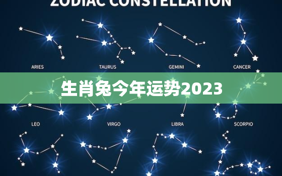 生肖兔今年运势2023，生肖兔今年运势2023年运程