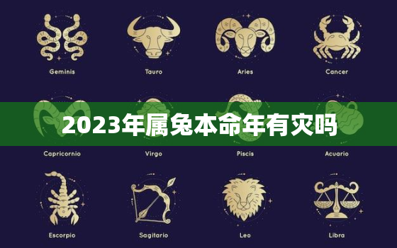 2023年属兔本命年有灾吗，2023年属兔女本命年运势