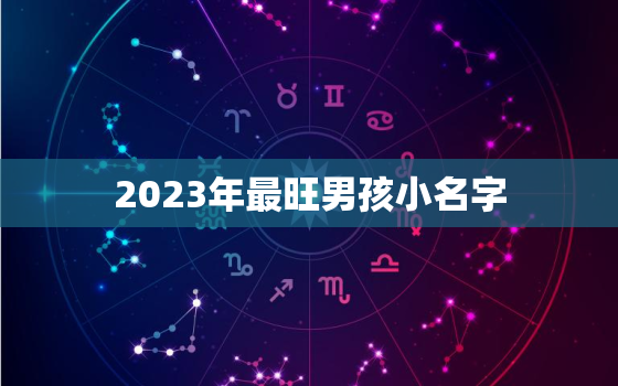 2023年最旺男孩小名字，202男孩子名字