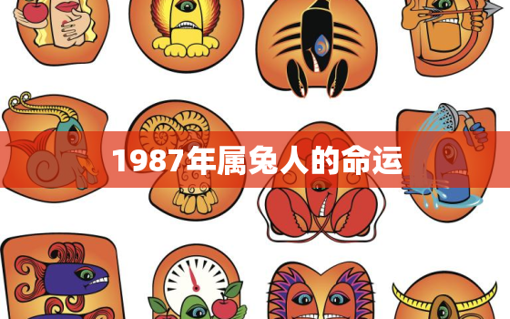 1987年属兔人的命运，1987年属兔人的命运与婚姻