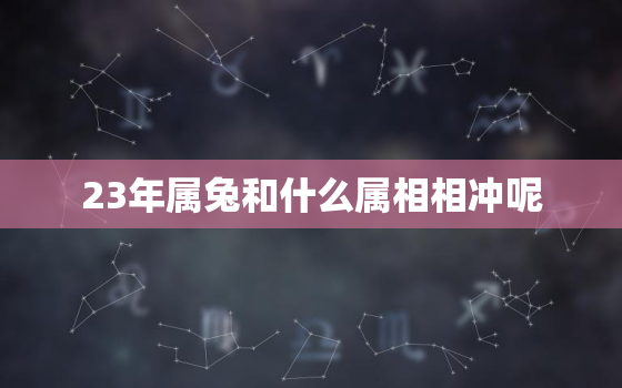 23年属兔和什么属相相冲呢，23年兔好还是24年龙好