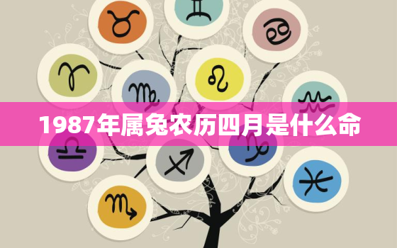 1987年属兔农历四月是什么命，1987年属兔农历四月是什么命运