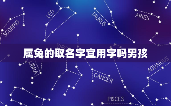 属兔的取名字宜用字吗男孩，属兔取名字宜用什么字