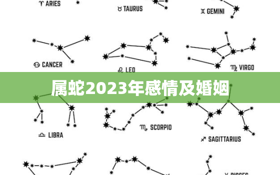 属蛇2023年感情及婚姻，属蛇2023年感情及婚姻状况