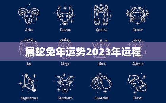 属蛇兔年运势2023年运程，属蛇兔年运势2023年运程详解