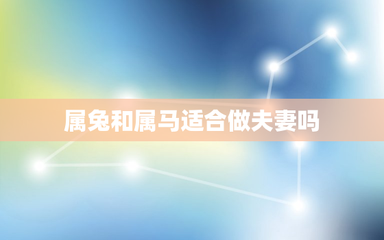 属兔和属马适合做夫妻吗，兔男马女一定会离婚