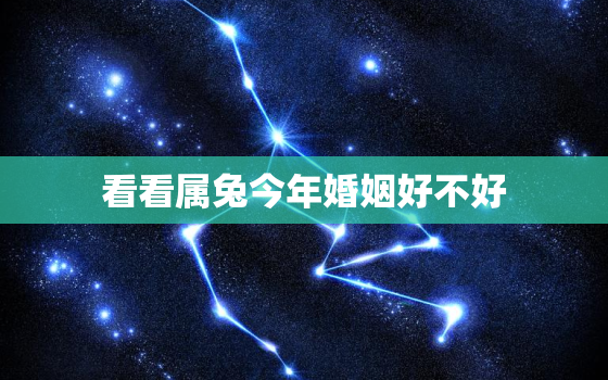 看看属兔今年婚姻好不好，属兔今年婚姻怎么样