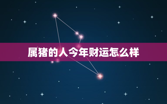 属猪的人今年财运怎么样，属猪的人今年财运怎么样2021年