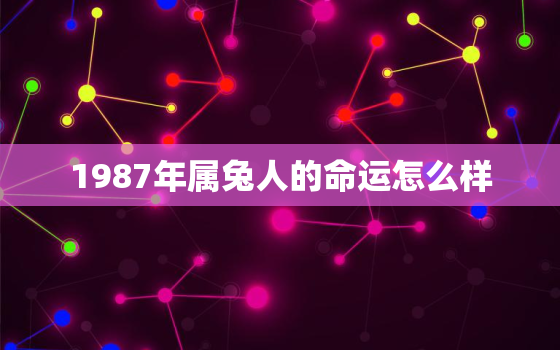 1987年属兔人的命运怎么样，1987年属兔人的命理和运势