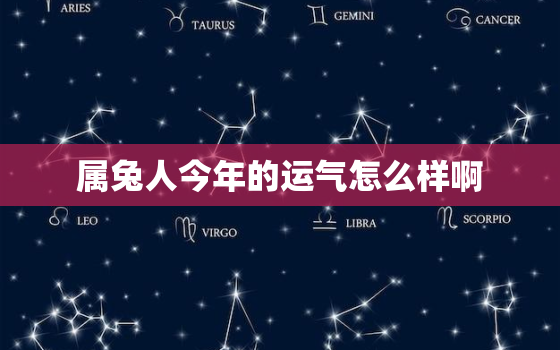 属兔人今年的运气怎么样啊，属兔人今年的运气怎么样啊女生