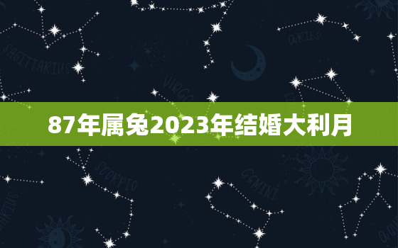 87年属兔2023年结婚大利月，87年属兔2023年婚姻状况如何