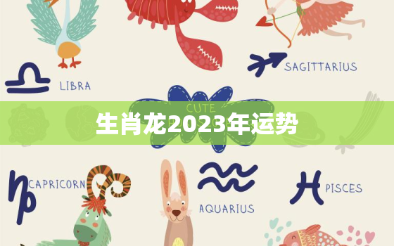 生肖龙2023年运势，生肖龙2023年运势及运程详解
