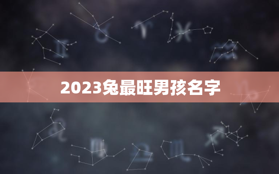 2023兔最旺男孩名字，2023兔最旺女孩名字