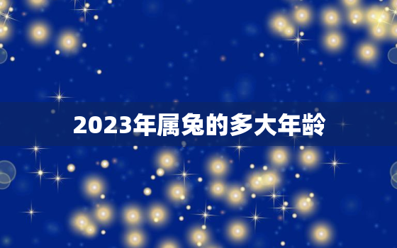 2023年属兔的多大年龄，2023年兔多少岁