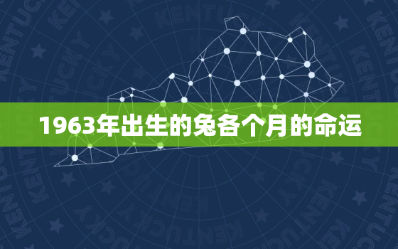 1963年出生的兔各个月的命运，1963年出生的兔哪个月份好