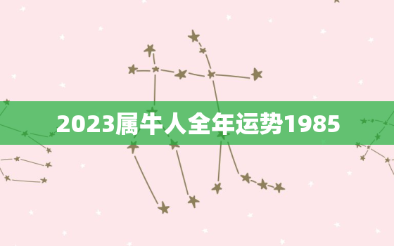 2023属牛人全年运势1985，2023属牛人全年运势1985女