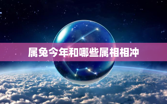 属兔今年和哪些属相相冲，今年属兔配什么最好