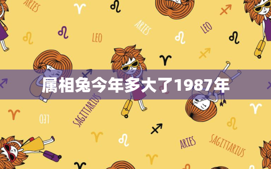 属相兔今年多大了1987年，属相兔今年多大了1987年