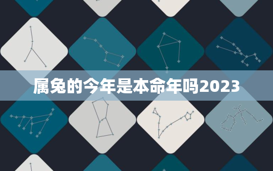 属兔的今年是本命年吗2023，属兔的今年本命年运势如何