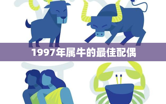 1997年属牛的最佳配偶，1997年属牛的最佳配偶属相