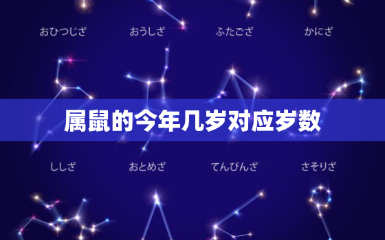 属鼠的今年几岁对应岁数，属鼠的今年多少岁了