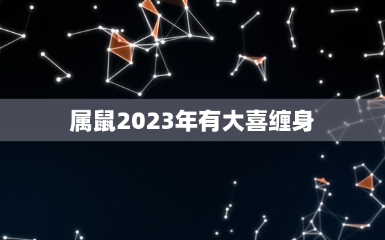 属鼠2023年有大喜缠身，属鼠人2023年运势