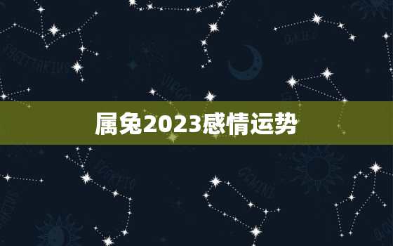 属兔2023感情运势，属兔人2023年运势咋样