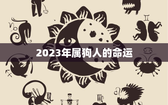 2023年属狗人的命运，2023年属狗人运势