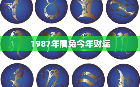 1987年属兔今年财运，1987的兔今年财运