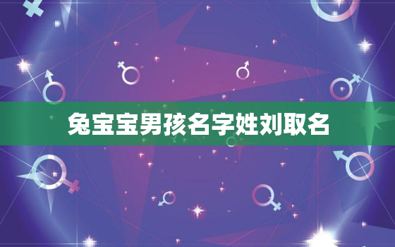 兔宝宝男孩名字姓刘取名，兔宝宝男孩名字姓刘取名