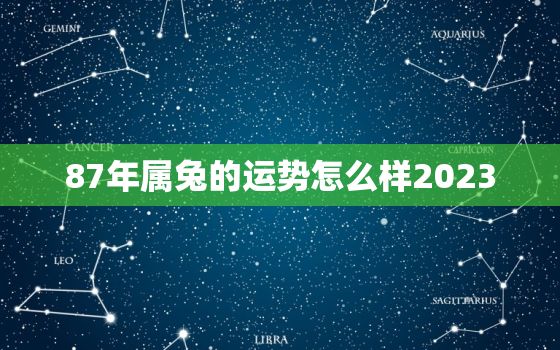 87年属兔的运势怎么样2023，87年的兔子2023年运势