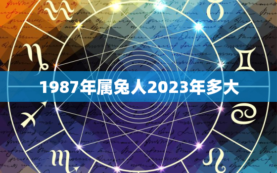 1987年属兔人2023年多大，1987年出生2023年多大