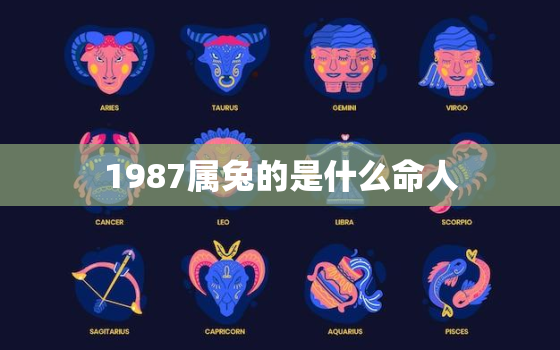 1987属兔的是什么命人，1987年属兔是什么命华易网