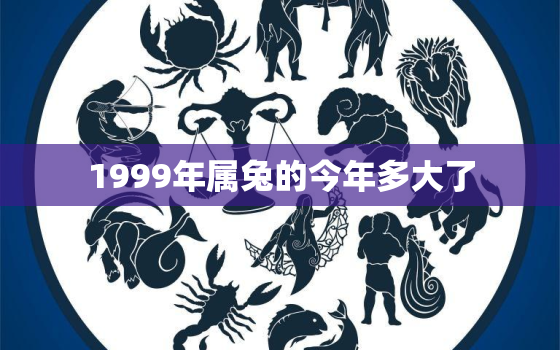 1999年属兔的今年多大了，1999年属兔的今年多大了2021